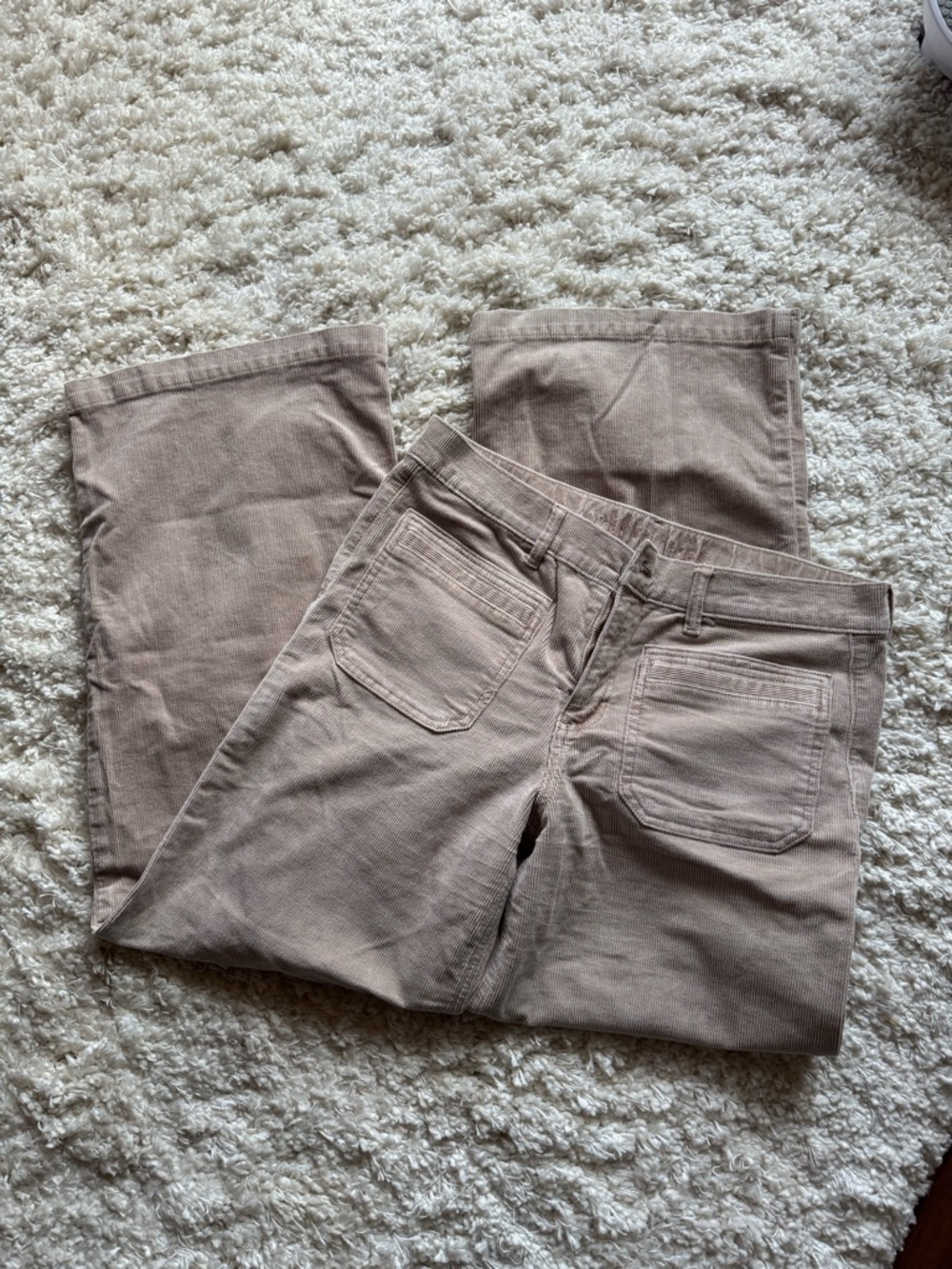American Eagle Outfitters Light Taupe Corduroy Pants • 8R